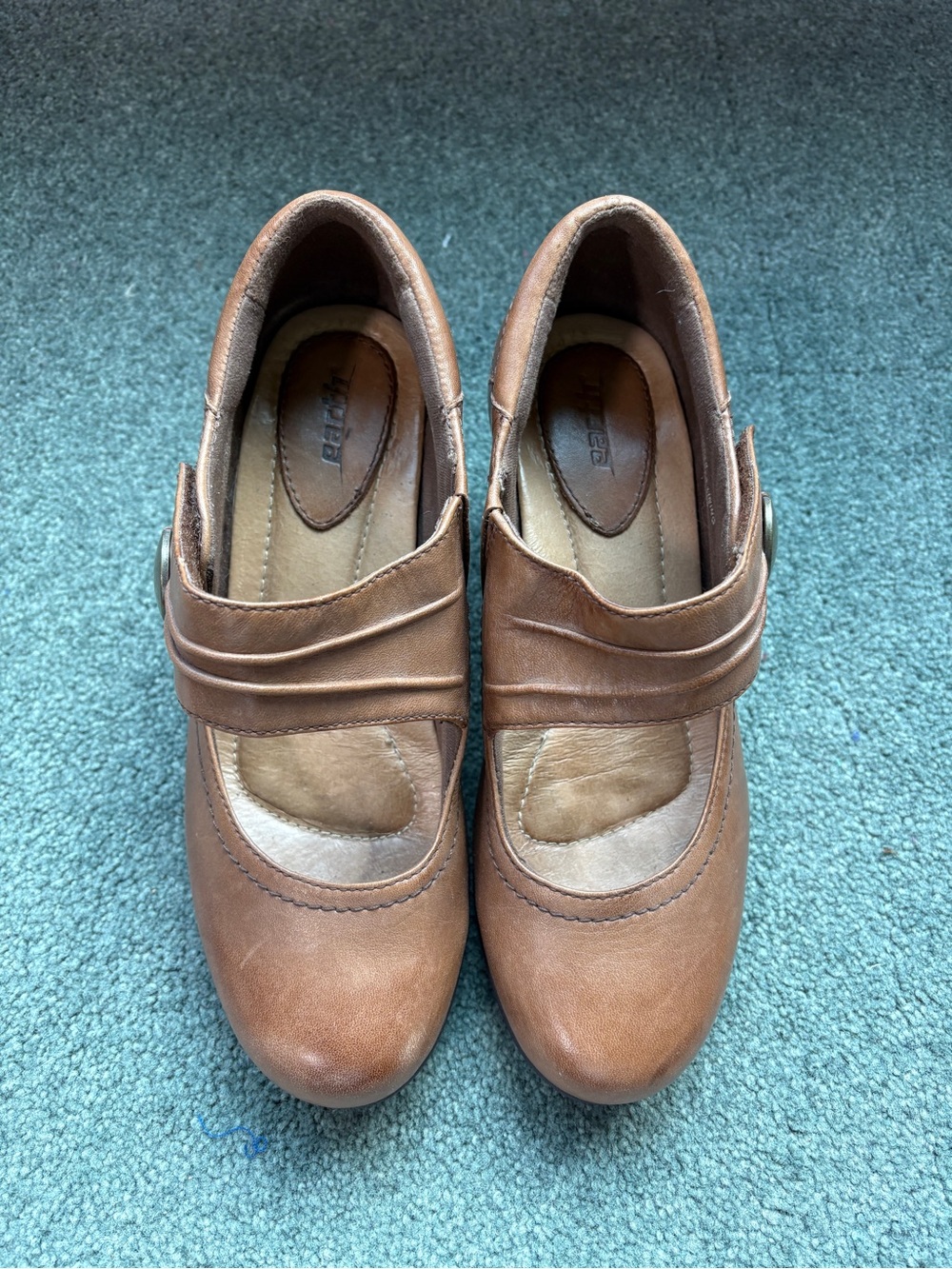 Earth Women's Brown Leather Mary Jane Clogs